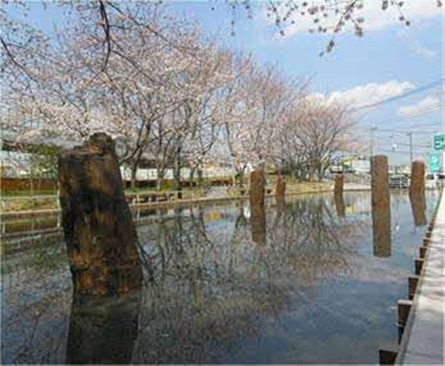 登場したゆかりの地